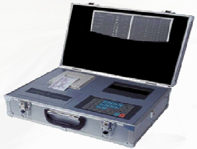 Movable Weighbridge 